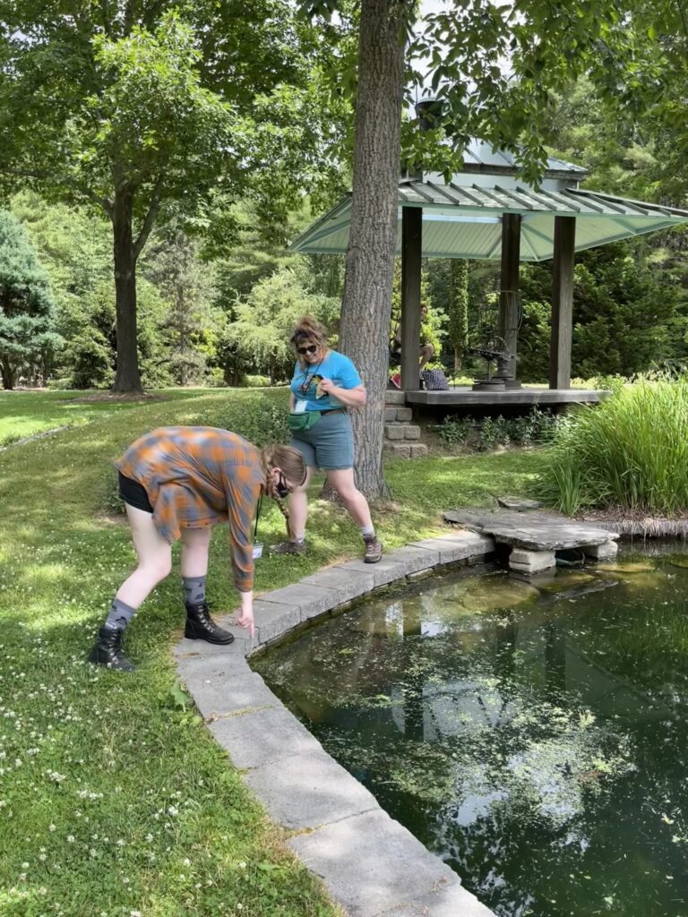 “The Fredding” Is On Display at Bedrock Gardens!